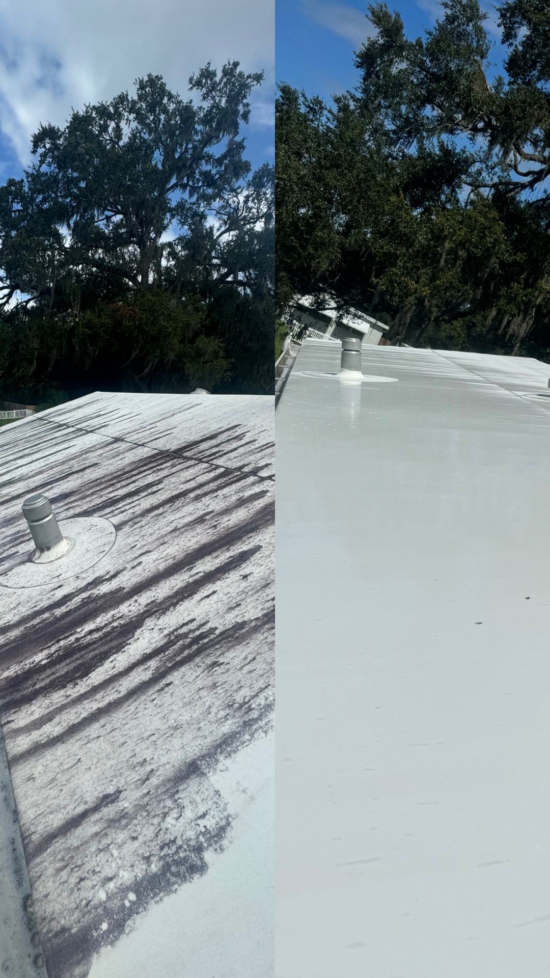 Roof and Gutter Cleaning